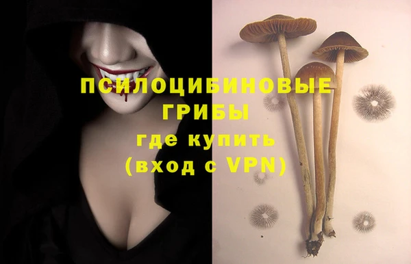 apvp Нефтегорск