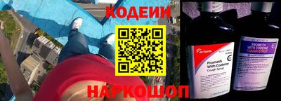 шишки Гатчина