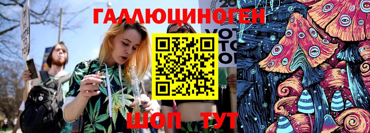 Псилоцибиновые грибы мицелий  что такое наркотик  Кинель  Псилоцибиновые грибы Cubensis 