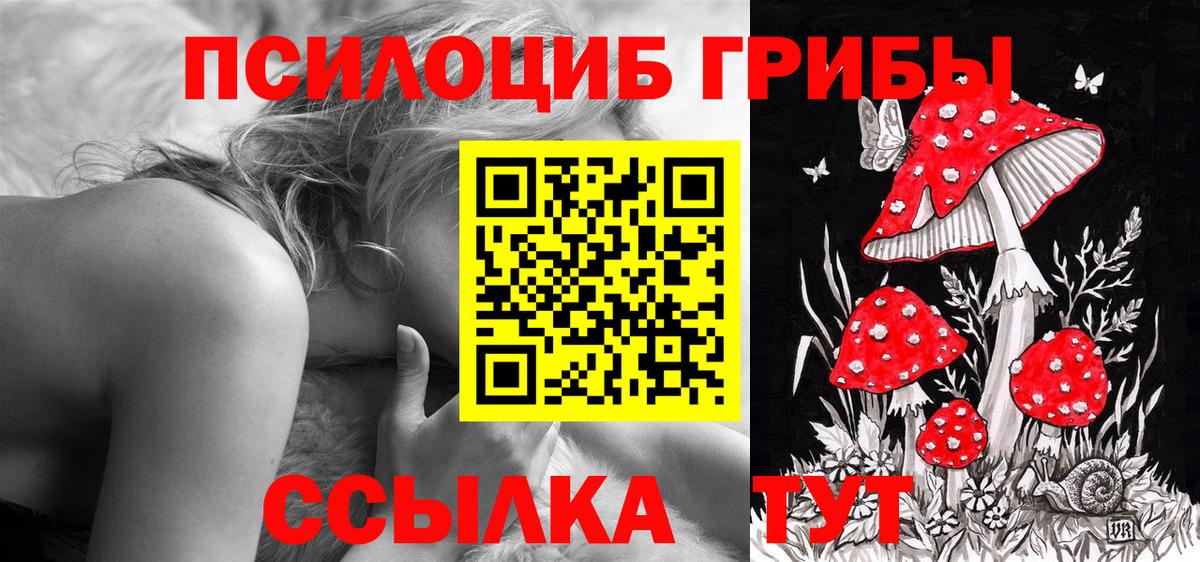 A-PVP Кинель