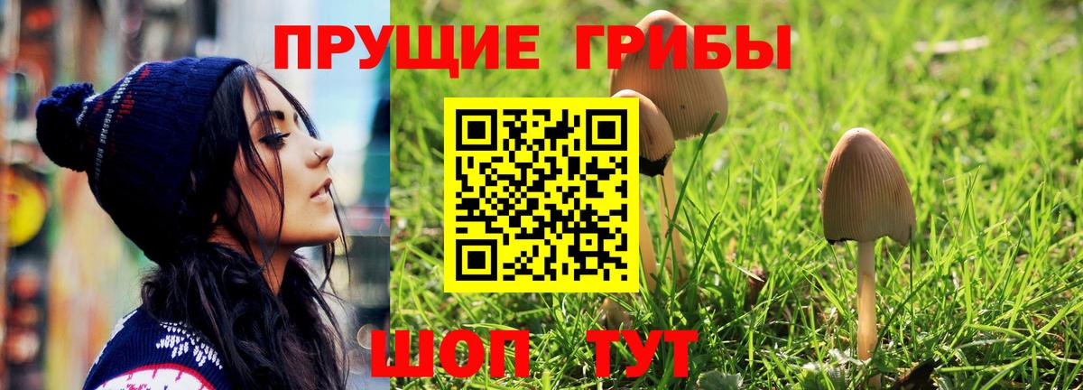 Псилоцибиновые грибы мухоморы  Вход с VPN  Кинель  продажа наркотиков  Галлюциногенные грибы мухоморы 
