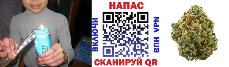 Бошки марихуана SATIVA & INDICA  где продают наркотики  Кинель 