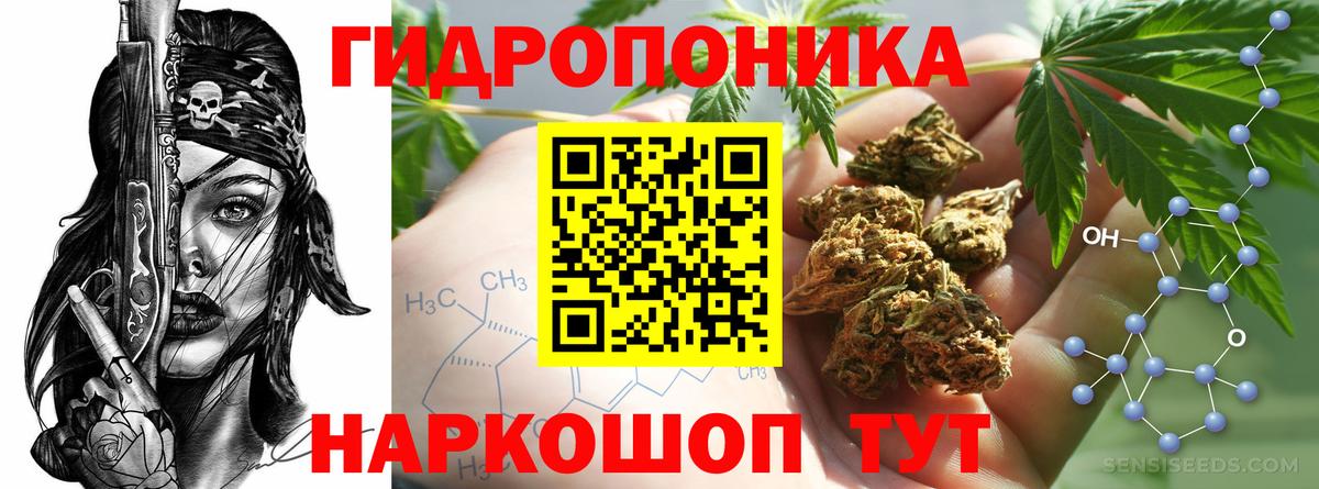 Шишки марихуана Ganja Кинель
